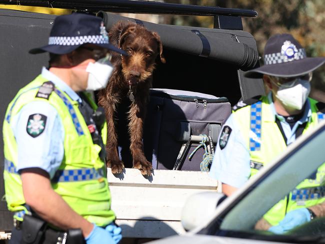 CANBERRA, AUSTRALIA NewsWire Photos - SEPTEMBER 17, 2021: General coverage of Covid-19 related activity as Canberra's lockdown continues.The AFP conducted a random COVID-19 check at  the ACT/NSW border, as the border closers continue in the ACT.Picture: Newswire/Gary Ramage