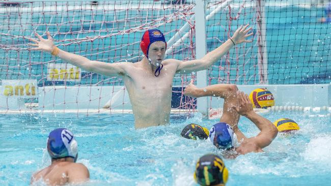 Flynn O'Neill in the Queensland Premier League Water Polo match between Barracudas and Gold Coast at Fortitude Valley Pool, Sunday, October 25, 2020 - Picture: Richard Walker