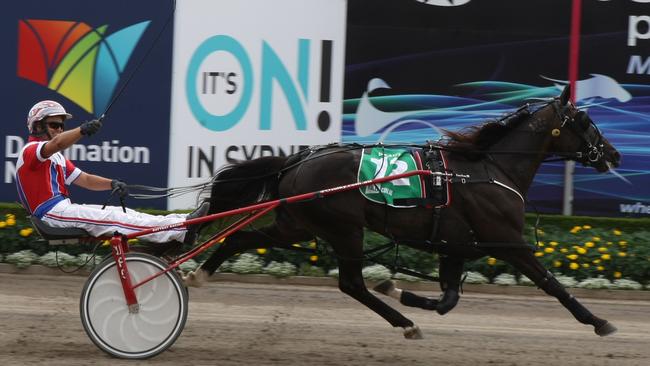 2014 Inter Dominion, Tabcorp Park Menangle