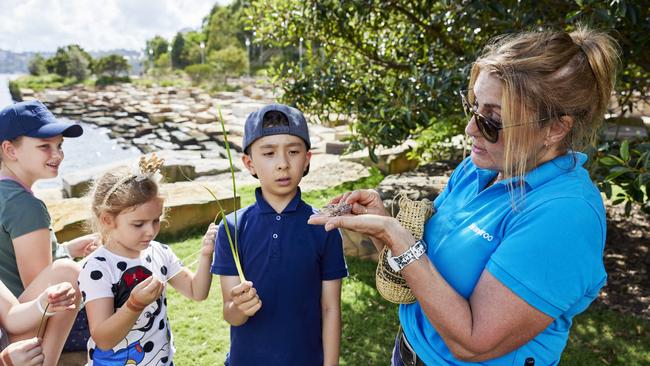 Interact with the beautiful surrounds of Barangaroo Reserve.