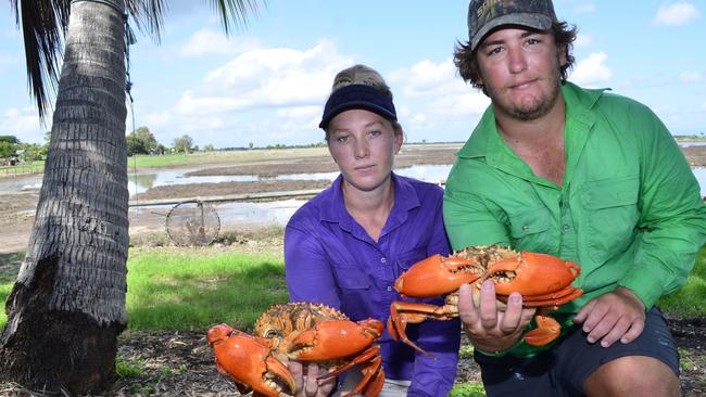 Commercial crabbers Sienna Green and Dale Venerare among the Burdekin crabbers being told not to send mud crabs to market with the coronavirus sending Asian diners into lock down. PHOTO: Mikayla Mayoh