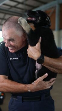 NT pups on patrol: Meet the twins continuing a police legacy