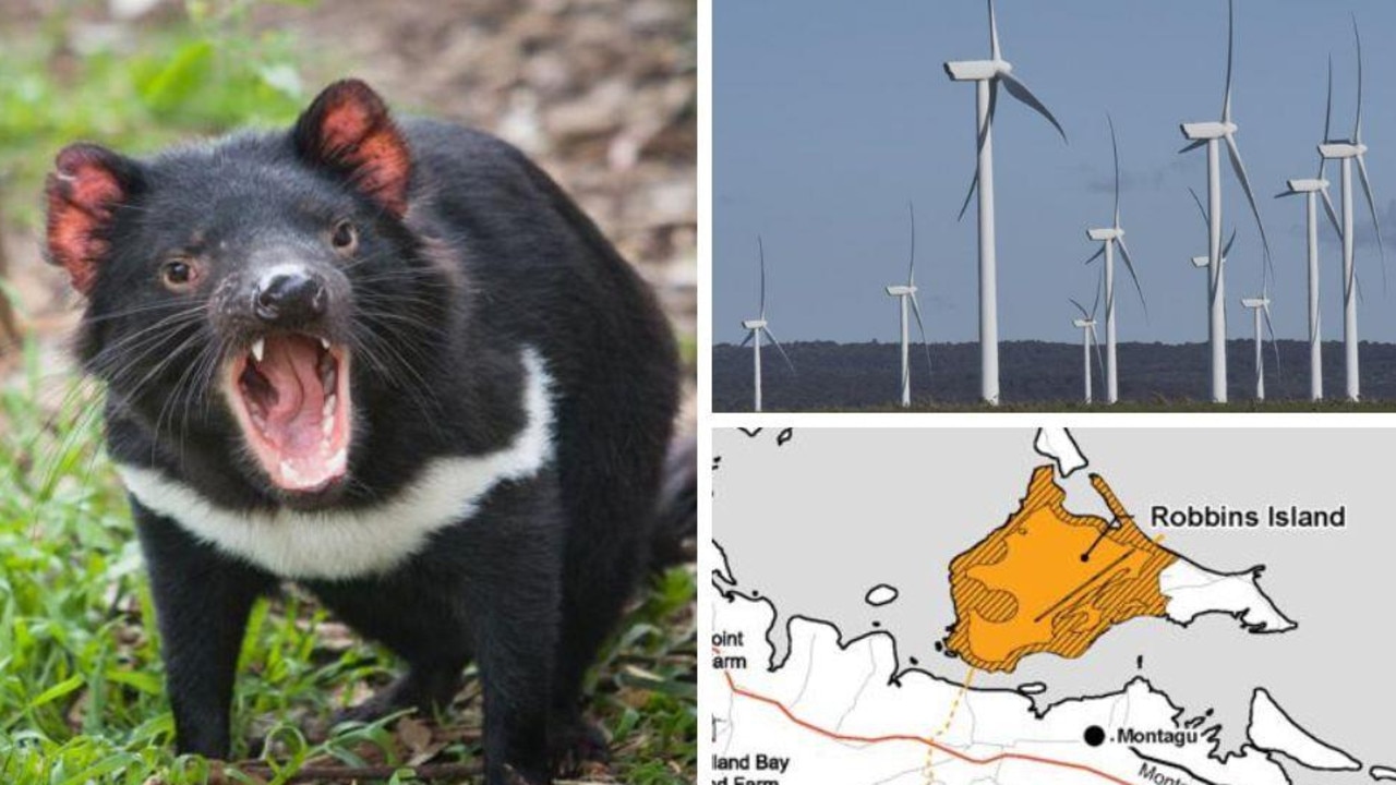 Tassie devil fears threaten $1.6 billion wind farm build