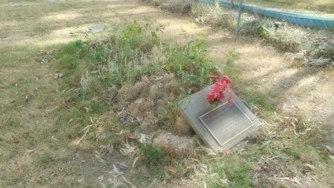 An overgrown mound at Nerang Cemetery. Picture: Maud Cross