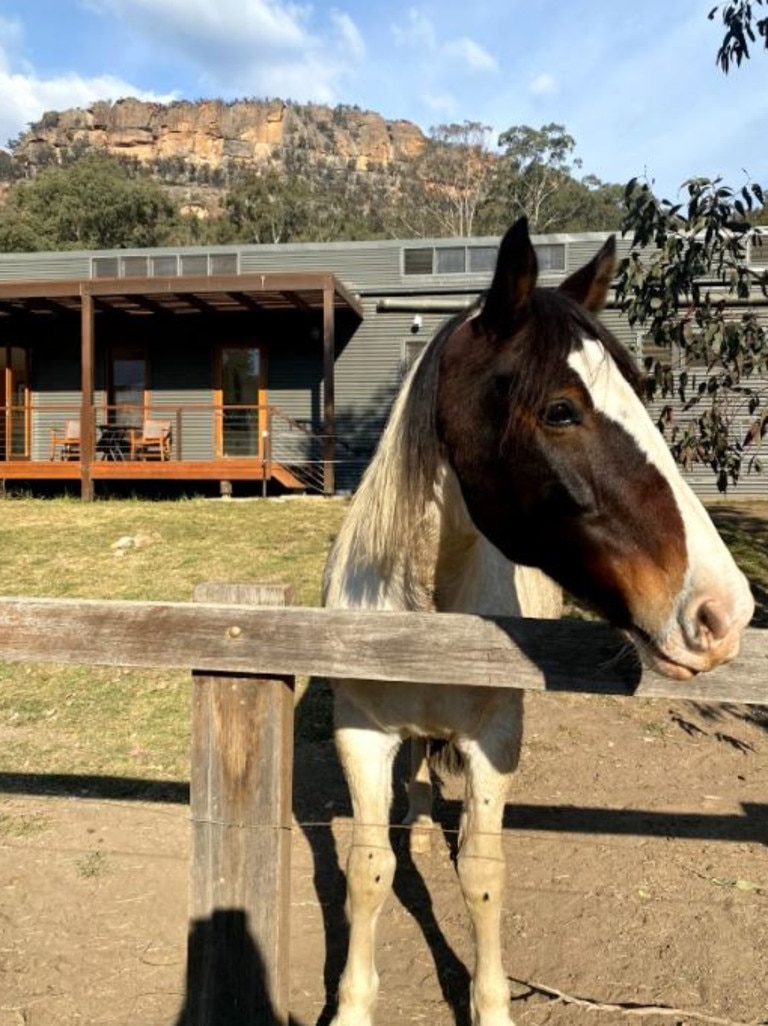 The resort also offers bush rides for guests.