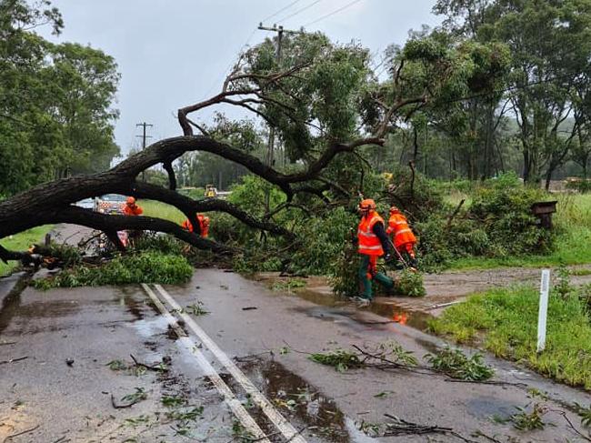 Wyong SES responding to a fallen tree on Johns Rd in Wadalba. Picture: NSW SES Wyong Unit