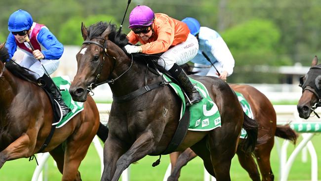 Kelly Schweida's two-year-old colt Grafterburners will line up in the $2m Inglis Millennium at Randwick on Saturday. Picture: Grant Peters, Trackside Photography.