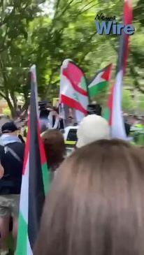 Pro-Palestine protesters told to 'rise and rage'