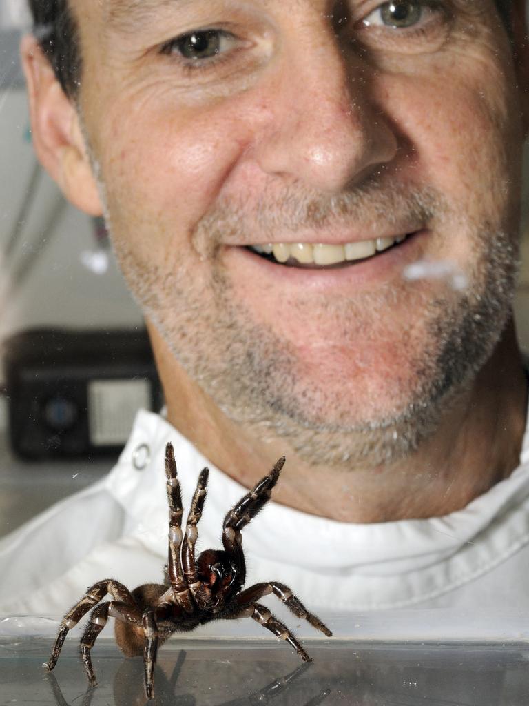 Arachnologist Professor Glenn King has been working on the funnel-web venom project for the past decade.