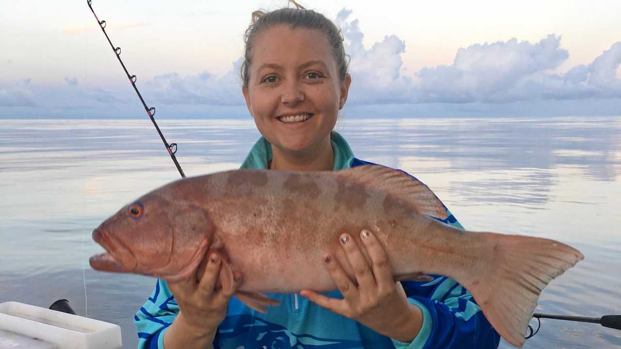 Islands yielding good reef fish | The Courier Mail