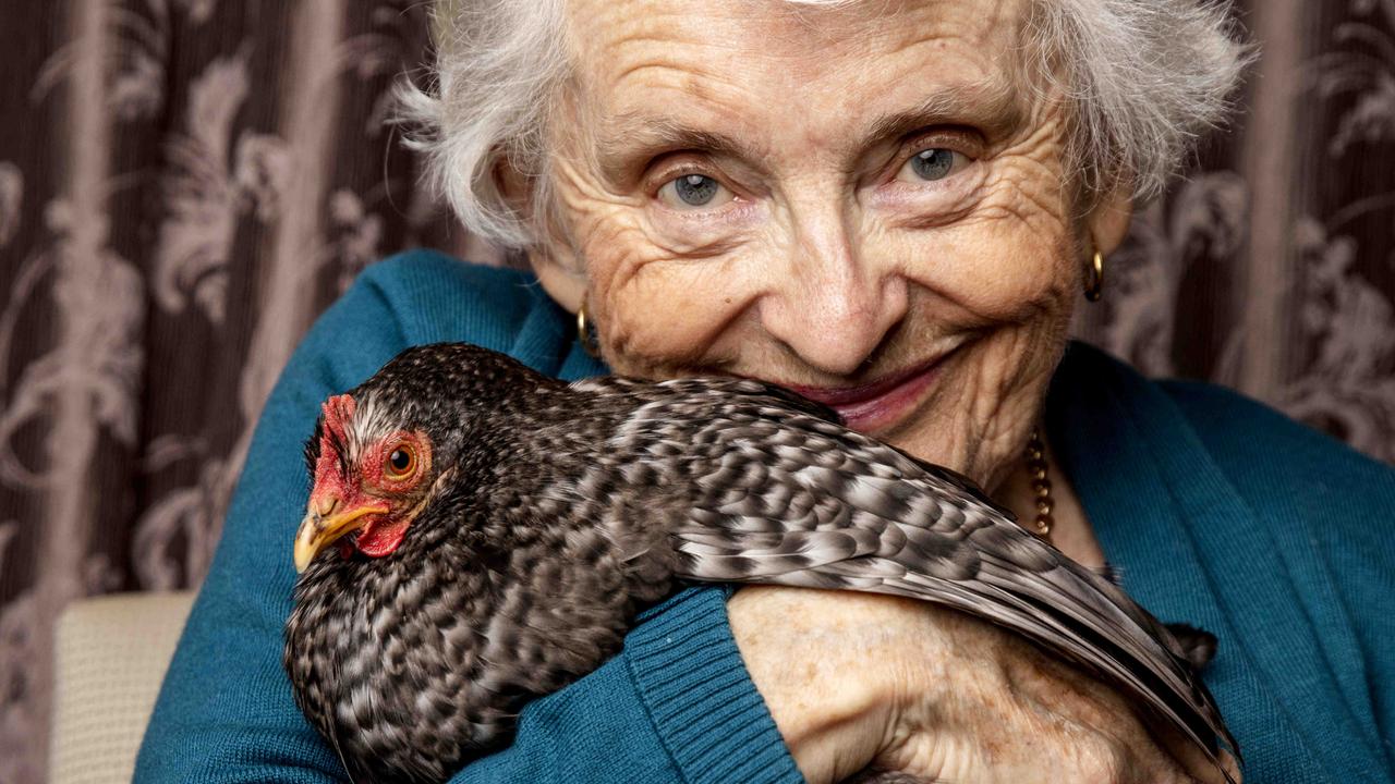 Therapy animals: Nursing homes, schools, prisons using pets to heal ...