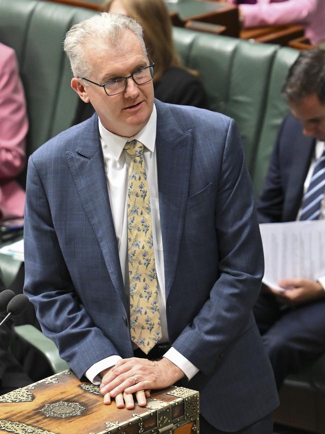 Minister for Home Affairs and Minister for the Arts, Tony Burke. Picture: Martin Ollman