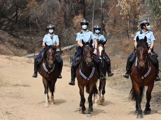 Mounted police join the search for three-year-old AJ who has gone missing from a rural property in Putty. Picture: David Swift