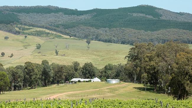 Grazing and wine grape property at Lankeys Creek for sale | The Weekly ...