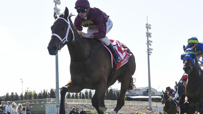 Climbing Star showed she was in for a strong spring campaign with her first-up effort at Caulfield. Picture: Racing Photos via Getty Images.