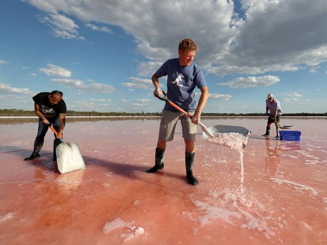 Richard Seymour with his father Neil Seymour and Adrian Morgan harvesting pink salt from Pink Lake in Dimboola Victoria. Picture: David Geraghty