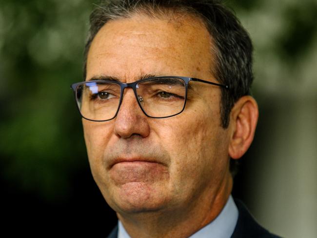 Premier of South Australia Steven Marshall speaks at a media conference in Tarntanyangga, Victoria Square, on Saturday morning, February 15, 2020. (AAP Image/ Morgan Sette)