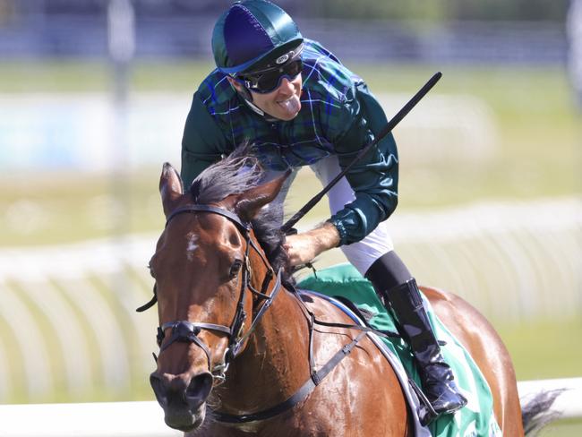 SYDNEY, AUSTRALIA - NOVEMBER 02: Tommy Berry on Satin Ribbons wins race 6 the TAB Handicap during Sydney Racing at Royal Randwick Racecourse on November 02, 2021 in Sydney, Australia. (Photo by Mark Evans/Getty Images)