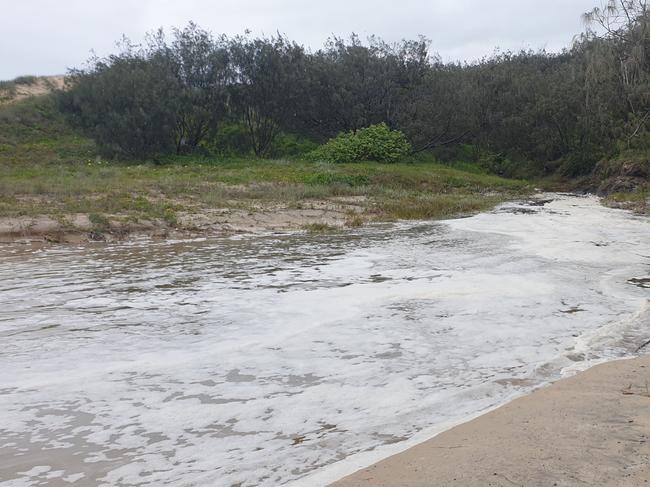 Sunrise Beach residents hold grave fears for Burgess Creek which they say has been contaminated with sewage and stormwater run-off for months.