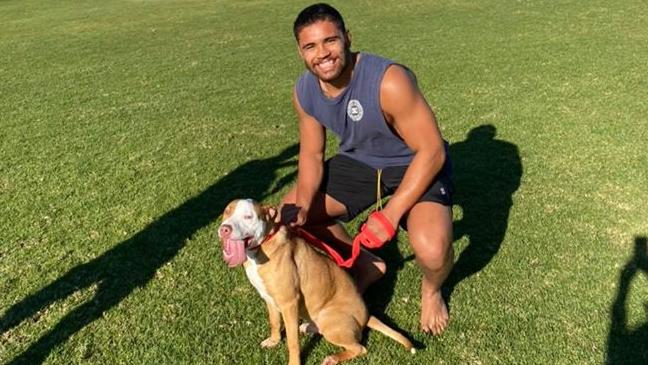 Isaiah Papali’i from the New Zealand Warriors walks rescue dog Buddy at the Haven. Picture: Central Coast Animal Care Facility