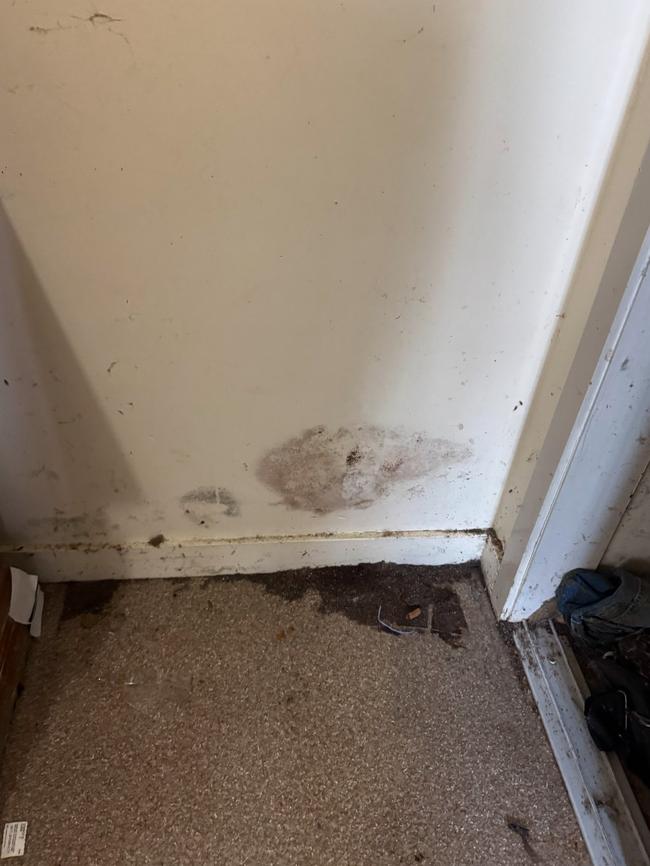 Floodwater and mould damage to a unit in Pimlico. Picture: Supplied