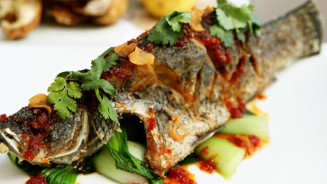 Garfish’s menu has seafood dishes like the crisp fried whole baby barramundi. Picture: Troy Snook