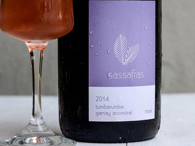 sassafras wine