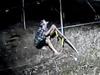 Horse snatched from Circus
