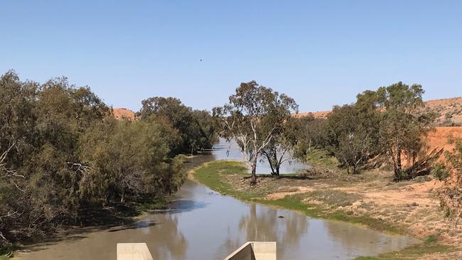 Water flows down the Darling Anabranch. Picture: Graeme McCrabb