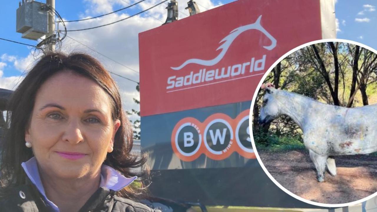 ‘Horse’ thieves strike at Saddleworld, axe used to rob vet clinic