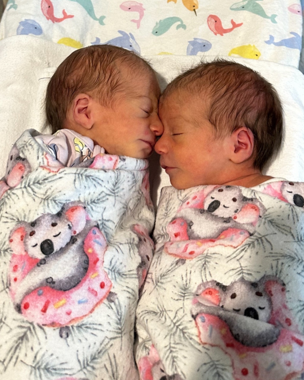 Dolly and Gigi were born on Tuesday, June 25.