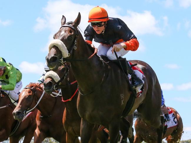 Maharba ridden by Damian Lane wins the TCL Talindert Stakes at Flemington Racecourse on February 18, 2023 in Flemington, Australia. (Photo by George Sal/Racing Photos via Getty Images)