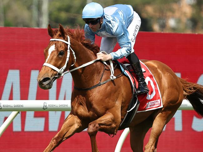 SYDNEY, AUSTRALIA - SEPTEMBER 28: Tommy Berry riding First Light wins Race 3 Toyota Forklifts Colin Stephen Quality during "Golden Rose Day" Sydney Racing at Rosehill Gardens on September 28, 2024 in Sydney, Australia. (Photo by Jeremy Ng/Getty Images)