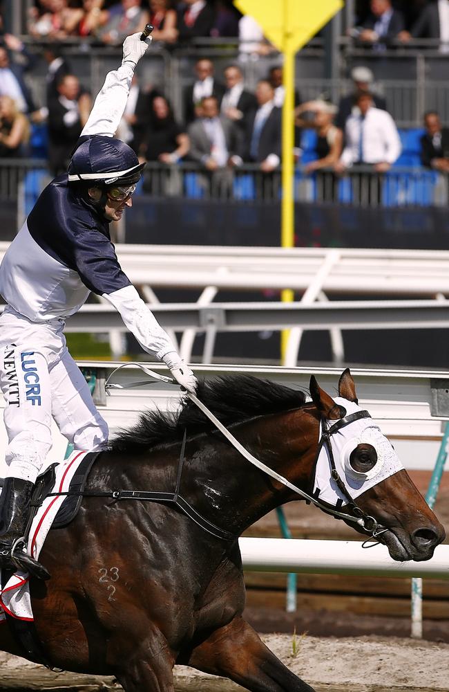 Craig Newitt is bullish about Tarzino in the Rosehill Guineas. Picture: Wayne Ludbey