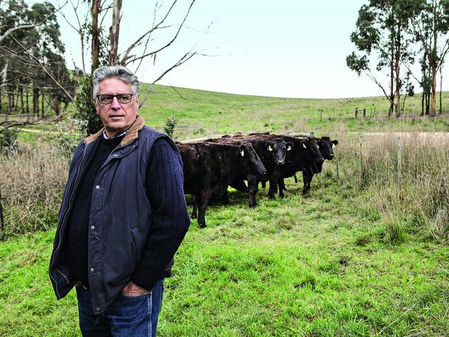 Join wagyu producer David Blackmore in celebrating Wagyu beef. Picture: Julian Kingma