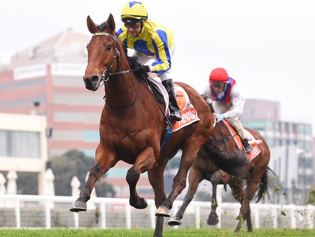 Mystery Shot, ridden by Michael Rodd, takes out the Neds Price Boost Handicap.