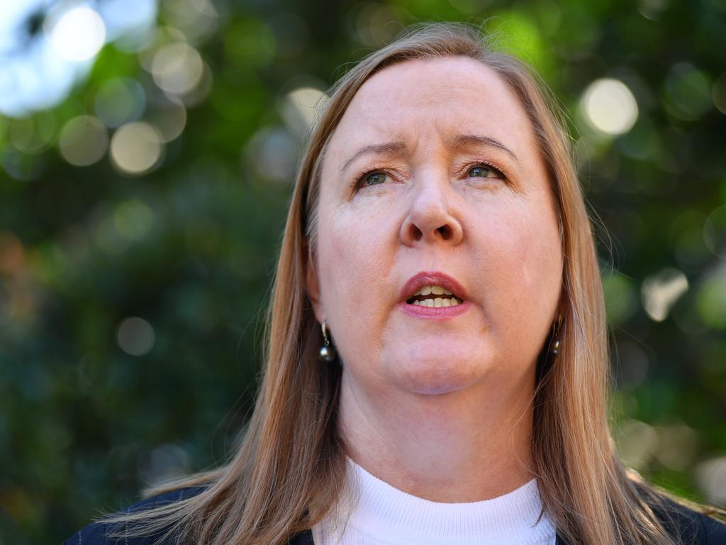 Regional Health Minister Not In Labor’s Plans, Minns Frontbencher Says ...