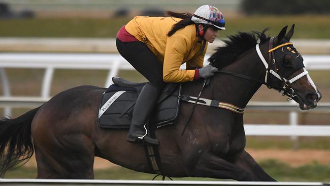 CRANBOURNE, AUSTRALIA - NOVEMBER 02: Natalie Young who trains with partner Trent Bussuttin is seen riding Main Stage at Cranbourne Turf Club on November 2, 2017 in Cranbourne, Australia. Main Stage is one of the favourites for Saturdays Victoria Derby at Flemington. (Photo by Vince Caligiuri/Getty Images)