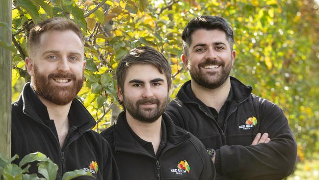 Joe, Max, and Jack Napoleone are carrying on in their great-grandfather’s footsteps, slowly expanding their family’s horticulture enterprise and seizing business opportunities where they can. Picture: Zoe Phillips