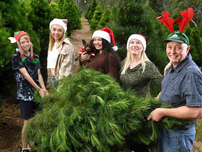 CHRISTMAS TREE PLANTATION. Gill and husband Kim Kemeny with (son) James, (daughter) Lexie, (friend) Brigid Schoneveld at their Christmas Tree Plantation, Clarendon on the 24th November, 2021. Picture: Tricia Watkinson*dogs name is Lola