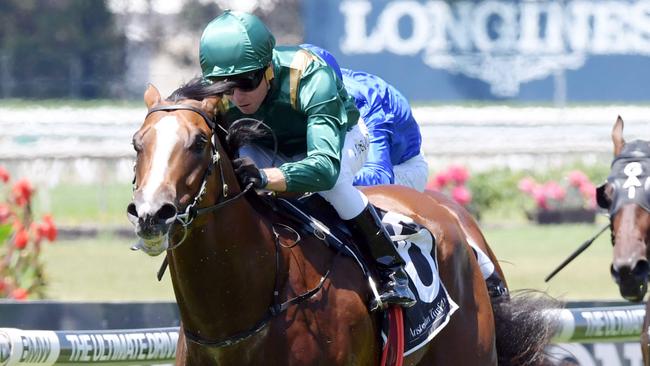 Pariah has come back in great order for the spring and will be hard to beat in the San Domenico.