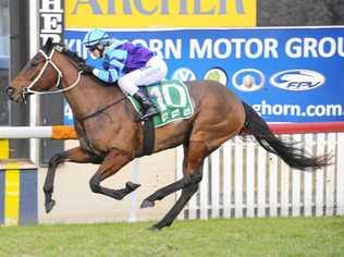 Gympie horse Moonshine Lady racing at Randwick on Saturday. Picture: Bradley Photos