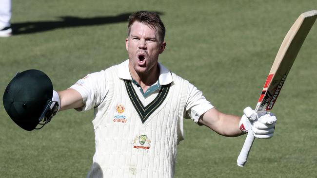 Australia batsman David Warner celebrates reaching his 300 against Pakistan at Adelaide Oval last season. Picture: Sarah Reed