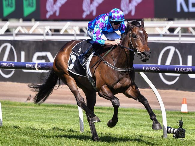 Pride Of Jenni wins the Kennedy Champions Mile at Flemington in 2023.Picture: Pat Scala/Racing Photos via Getty Images