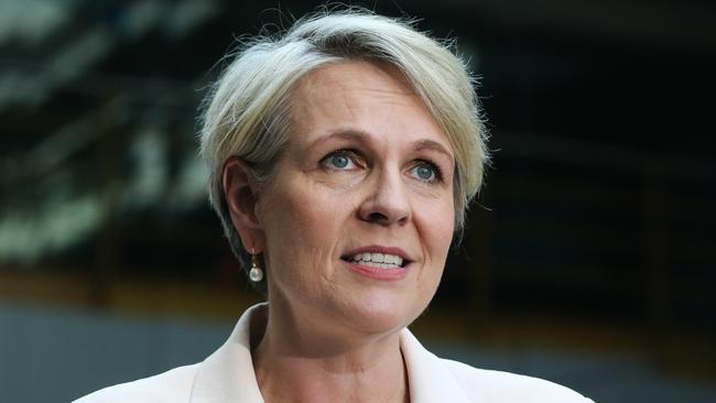 Under fire …Environment Minister Tanya Plibersek in Sydney this week. Picture: NewsWire / Gaye Gerard