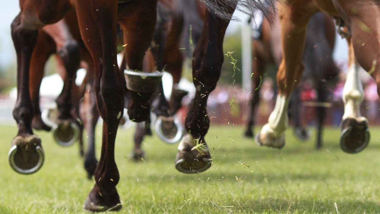 Melbourne Cup 2024 finishing order Every horse from first to last