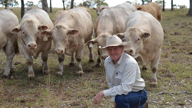 Southern Downs cattle producers are expecting their most successful breeding season ever next month. Pictured: Ascot Cattle Company principal Jim Wedge. Photo: NRM