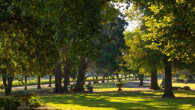 Terang supplied property pic WT