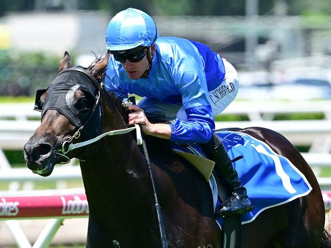 Space Rider dashes away under Chad Schofield to win the QTIS 2YO handicap at Eagle Farm for jockey Chad Schofield. Picture: Grant Peters - Trackside Photography