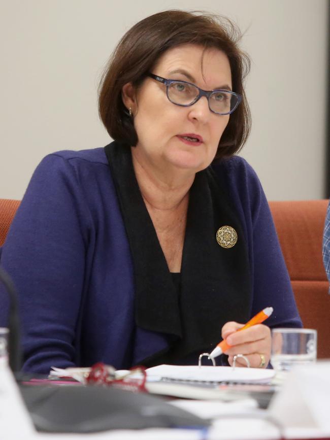 Mackay Labor MP Julieanne Gilbert. Picture: Jono Searle